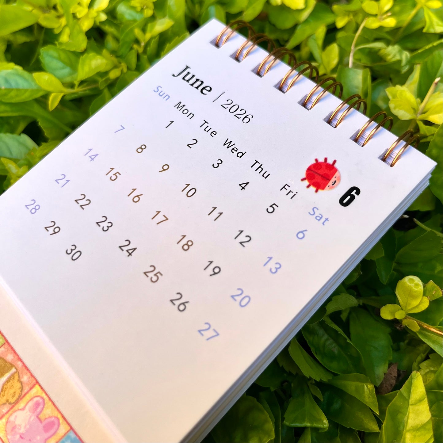 Calendario 2026-2027